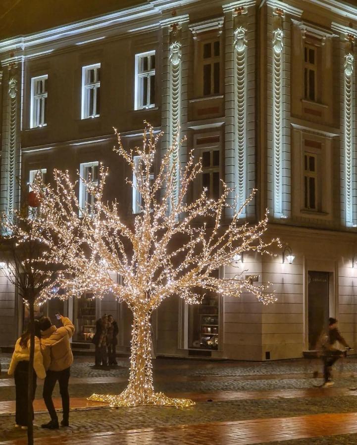 Central Luxury Home Temešvár Exteriér fotografie